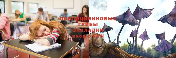 эйфоретик Алексин