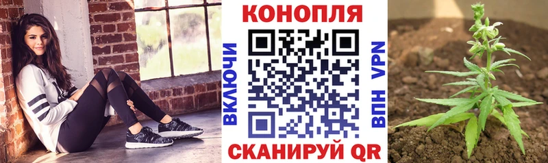 где продают   Анапа  Конопля SATIVA & INDICA 